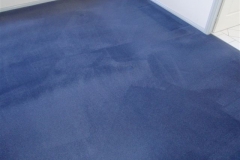 Bedroom carpet after cleaning with Complete Care's Carpet Cleaning System