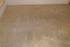 Dining room carpet after cleaning with Complete Care's Carpet Cleaning System