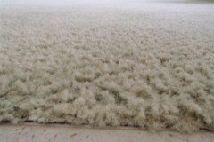 The result after the Complete Care Carpet Cleaning System