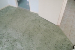 The result after the Complete Care's Carpet Cleaning System