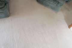 The result after the Complete Care's Carpet Cleaning System
