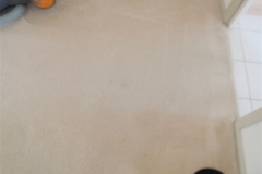 Carpet after cleaning with Complete Care's Carpet Cleaning System