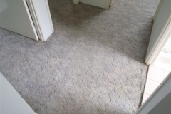 Hallway carpet after cleaning with Complete Care's Carpet Cleaning System